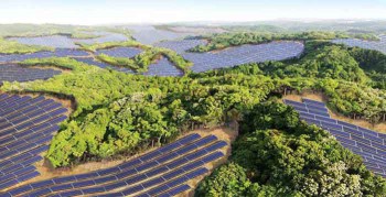 Emerging Markets Ripe for Renewable Development