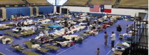 Austin Shelter Community Impact - Clean Power Marketing