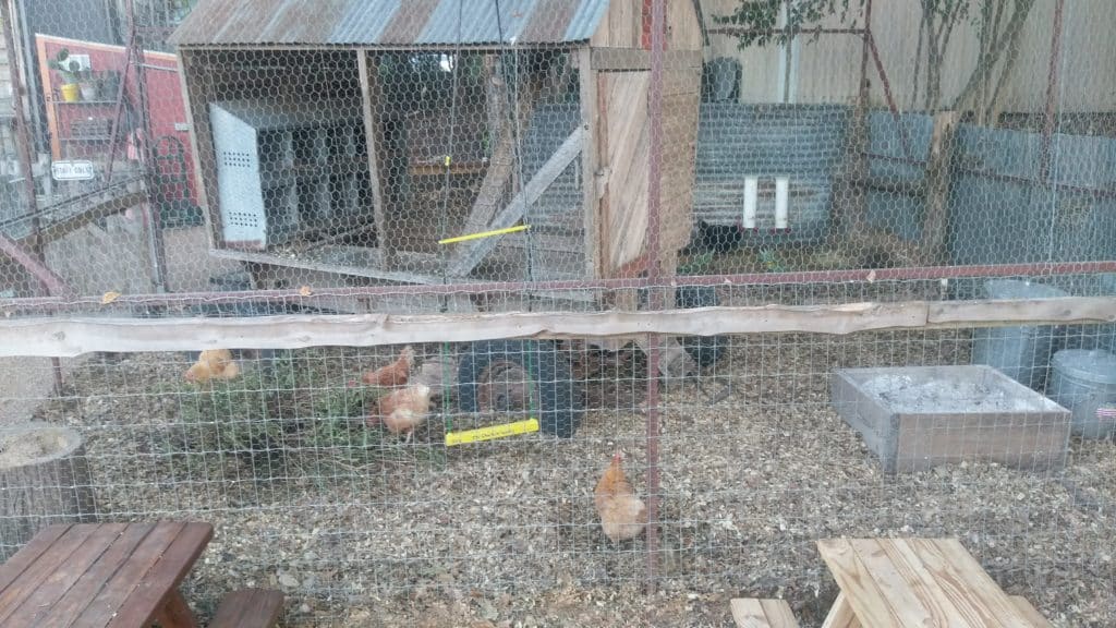 Cosmicchickencoop - Clean Power Marketing