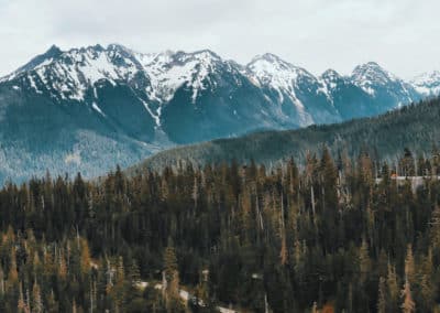 Reasons To Be Climate Optimistic in 2021