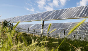 Sol - Clean Power Marketing
