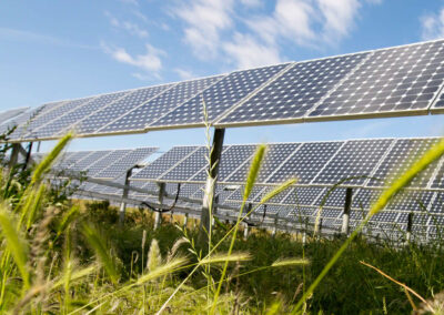 Why You Should Care About Solar Recycling, and What to Do Next