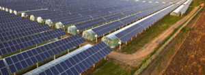 solar on a field