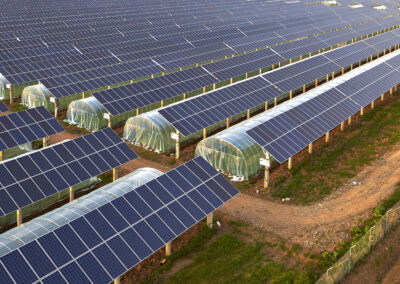 Five Ways to Market Renewable Energy with Radical Consistency